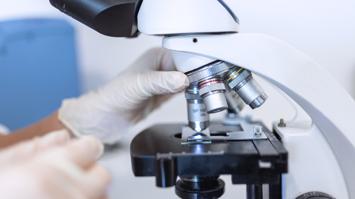 Mitmachlabor Mikroskopie