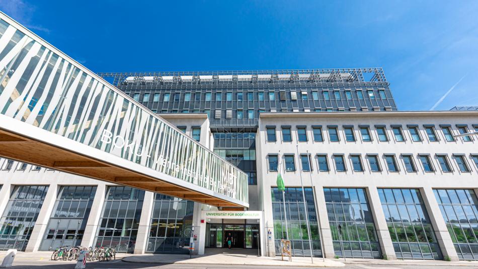 Die Brücke verbindet die Muthgasse 11 mit der Muthgasse 18