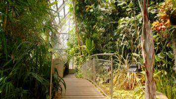 Botanischer Garten - Glashaus