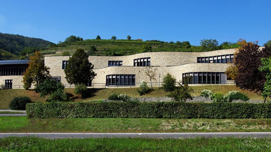 Danube Private University