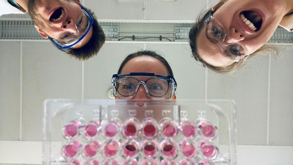 Forscherinnen im Labor