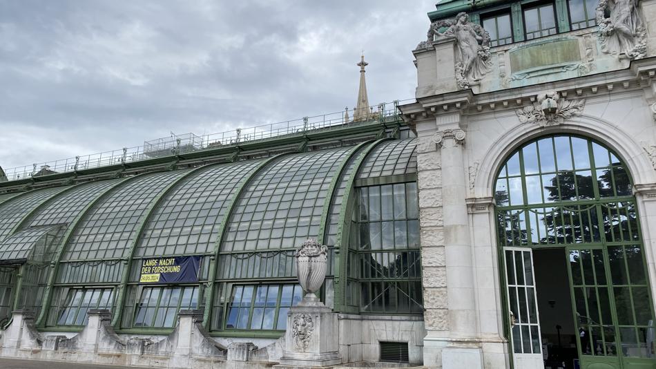 Palmenhaus im Burggarten