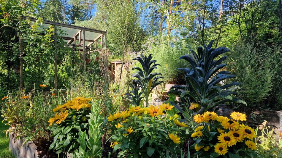 Fotoaufnahme des interfakultäres Lehr- und Forschungsgelände