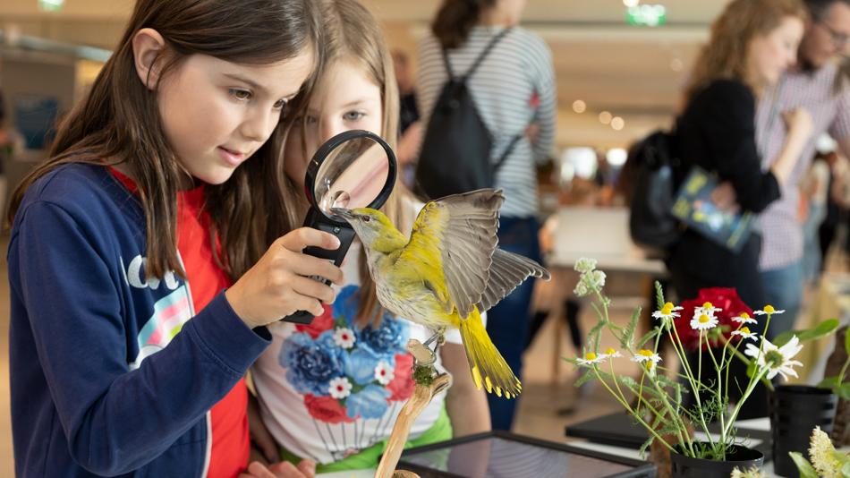 Kinderprogramm der Langen Nacht der Forschung