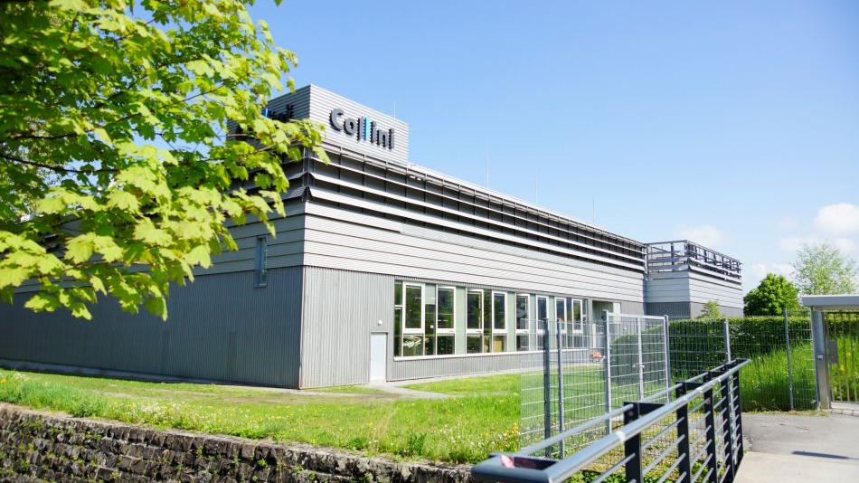 Collini Hohenems