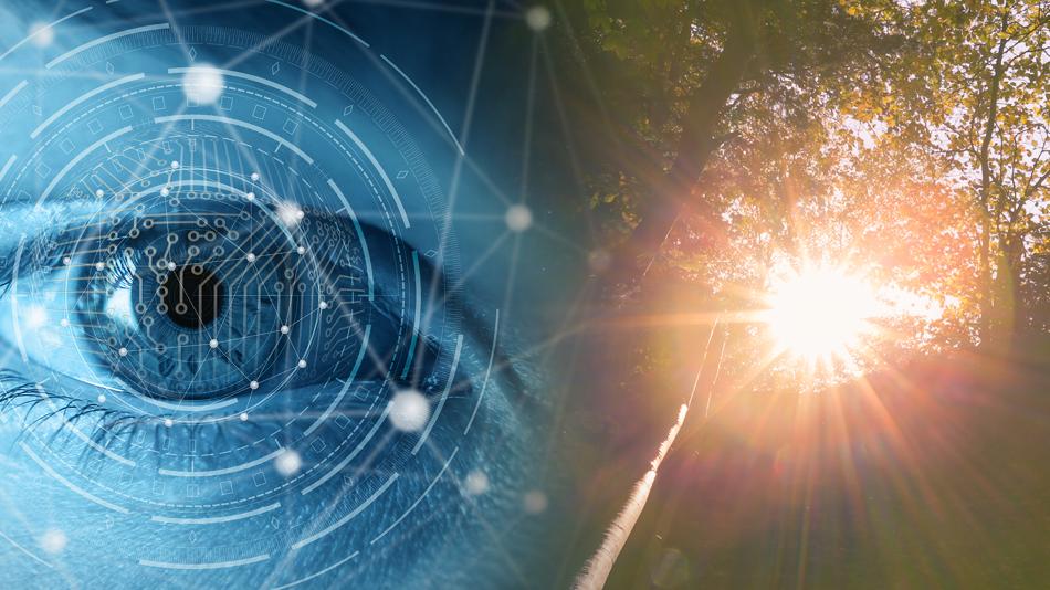 Keyvisual - Wood Vision Lab GmbH