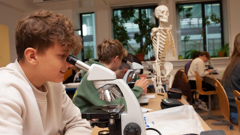 Schüler:innen am Mikroskopieren
