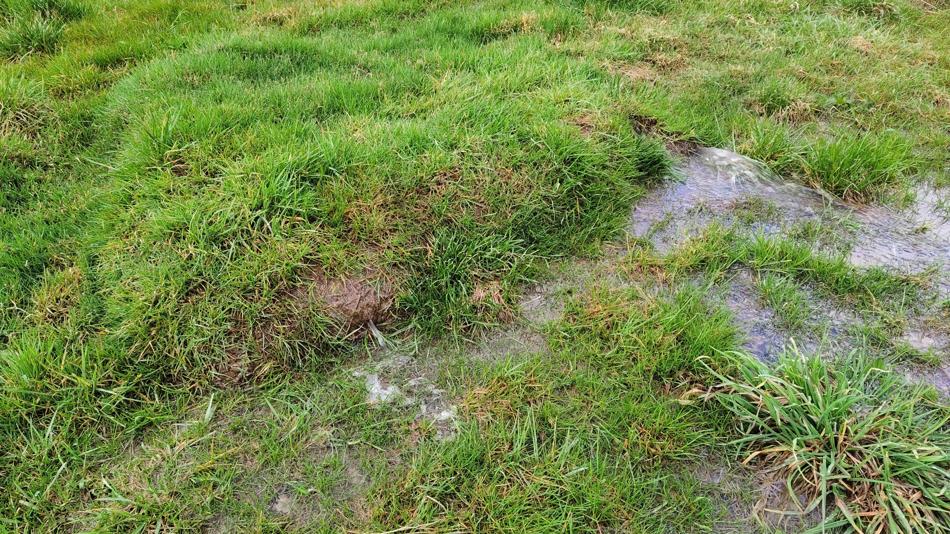 Starkregenereignis im Einzugsgebiet