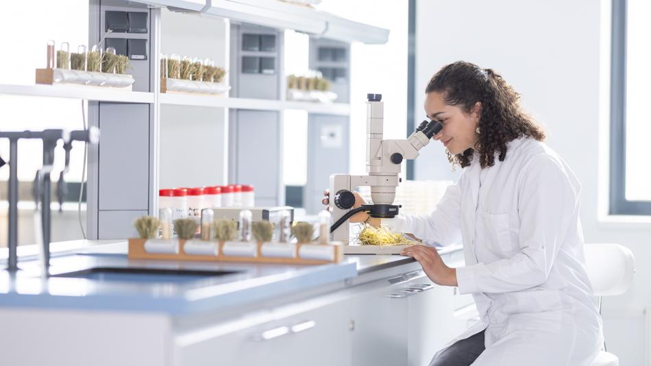 Laborräumlichkeiten