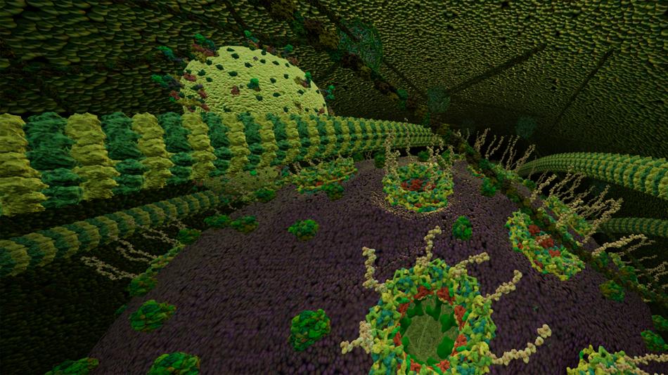 BiMM-Forschungsschiff in der Pilzzelle