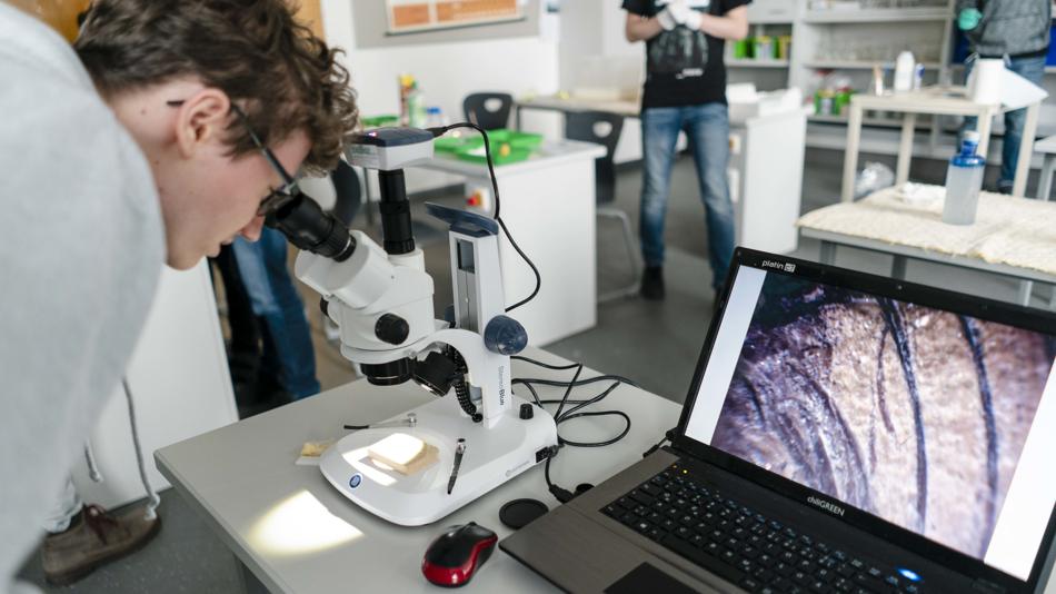 Digitale Mikroskopie