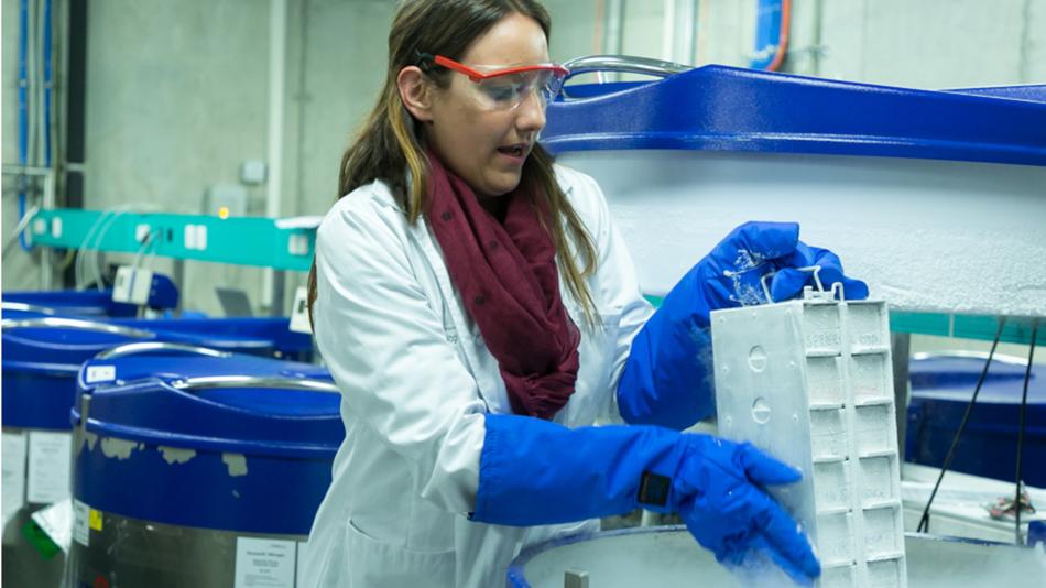 Lagerung von Proben in der Biobank Graz