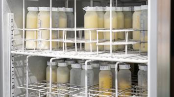 Lagerung der Muttermilch in der Humanmilchbank