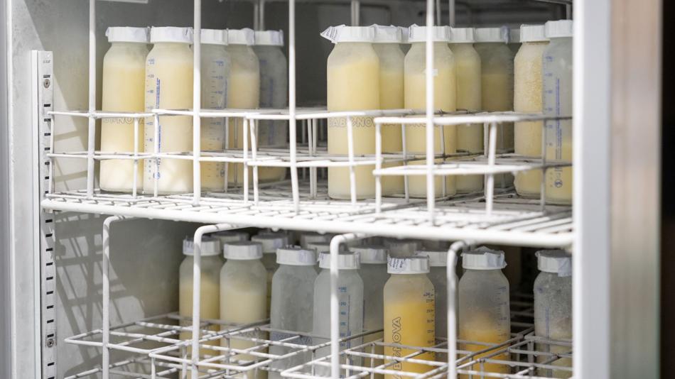 Lagerung der Muttermilch in der Humanmilchbank