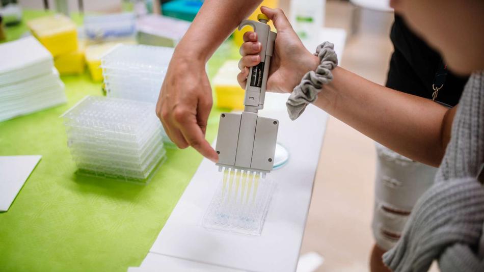 Workshopstation "Allergie-Chip"