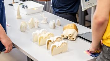 3D Druck in der Zahnforschung