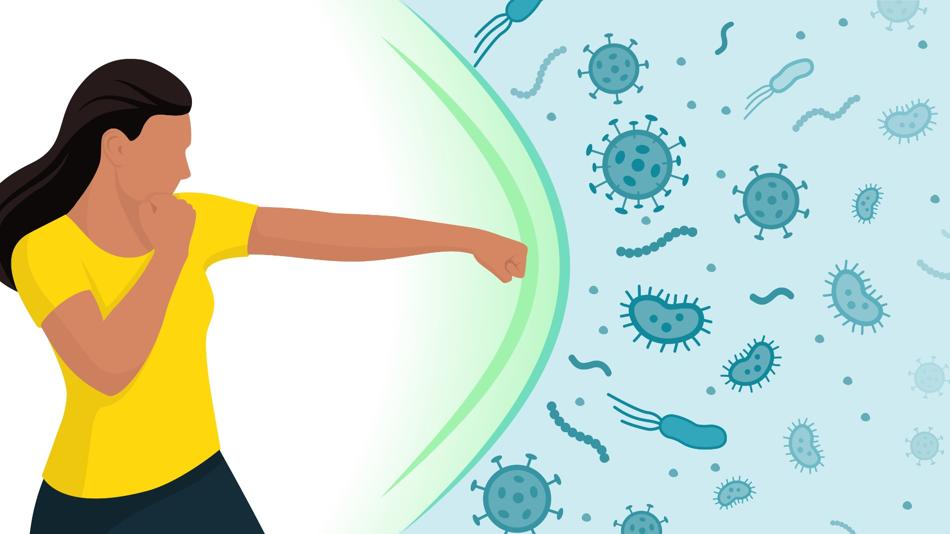 Faszinierendes Immunsystem - Immunology Lab