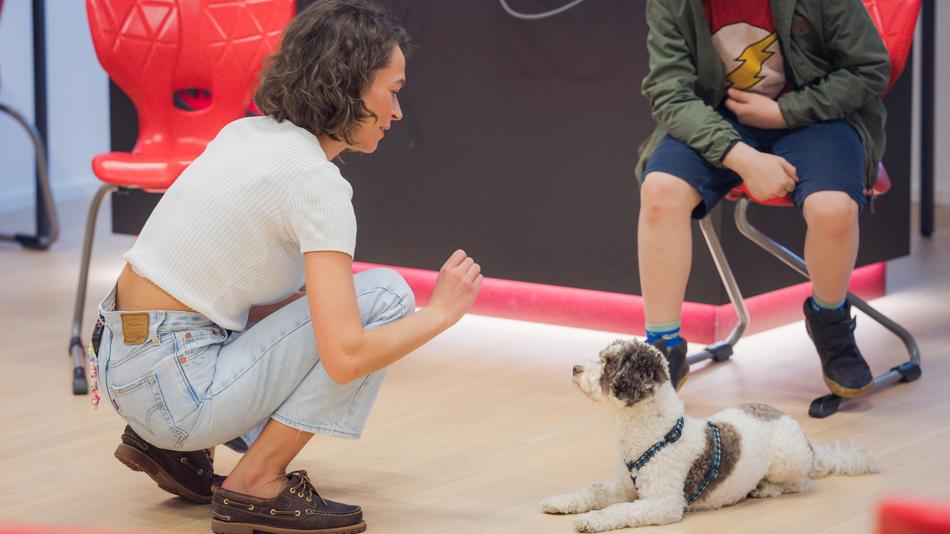 Therapiehund Campino in Aktion