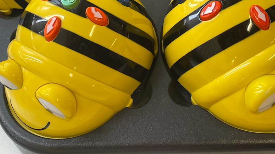 Bee-bots, Bodenroboter, die erste Programmiererfahrungen zulassen