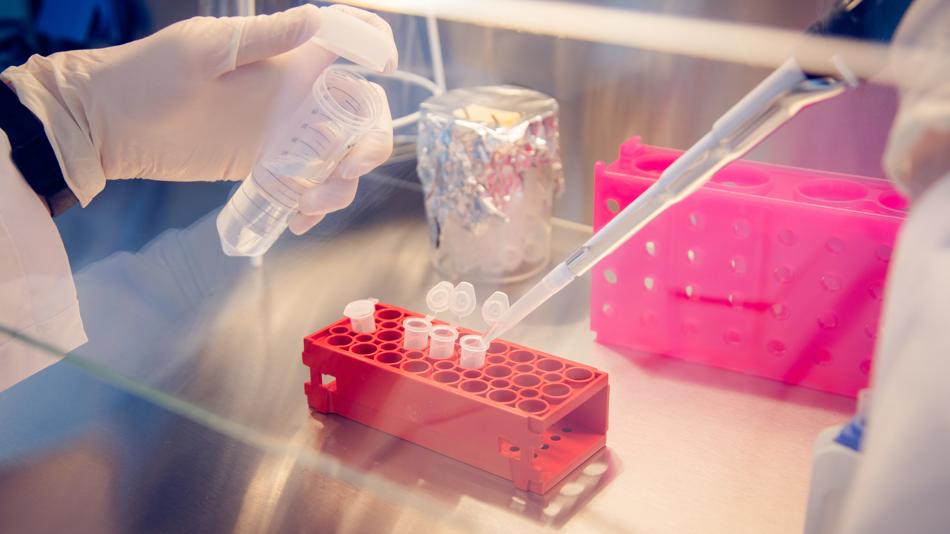 Arbeiten im Forschungslabor