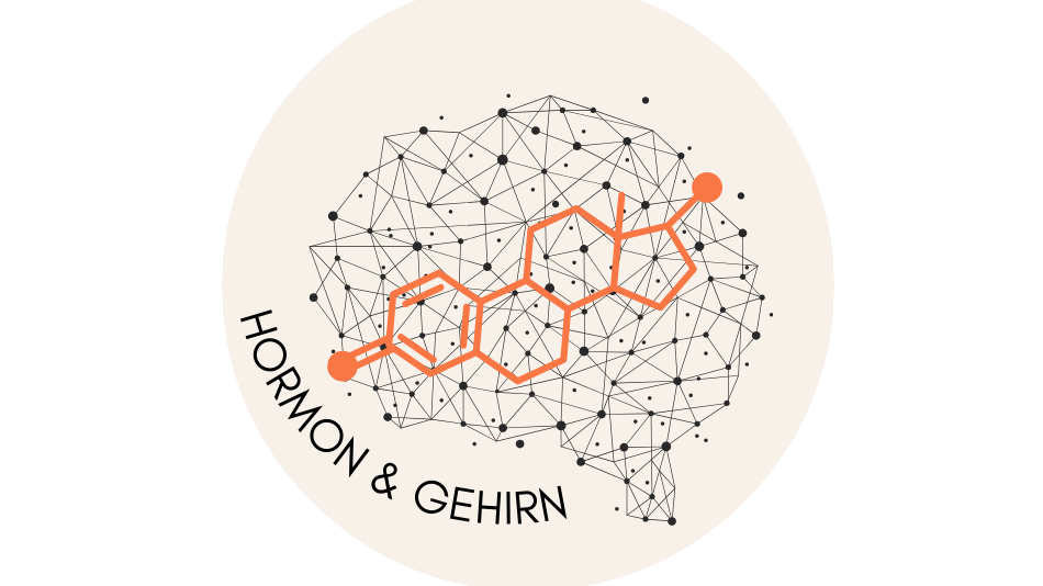 Logo Hormone & Gehirn