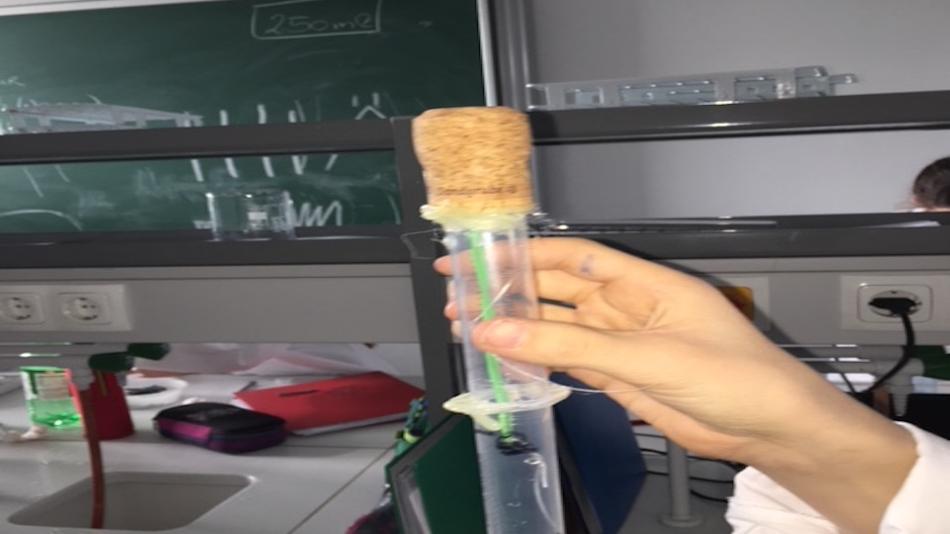 Bau eines Kraftmessers