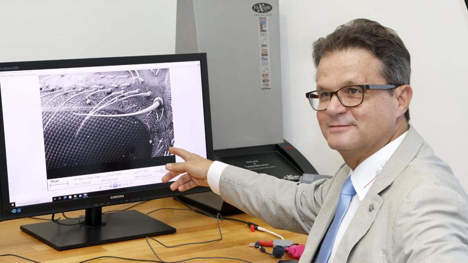 Bild mit dem Rasterelektronenmikroskop