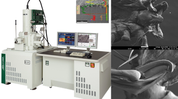 Materialcharakterisierung am Forschungszentrum Mikrotechnik