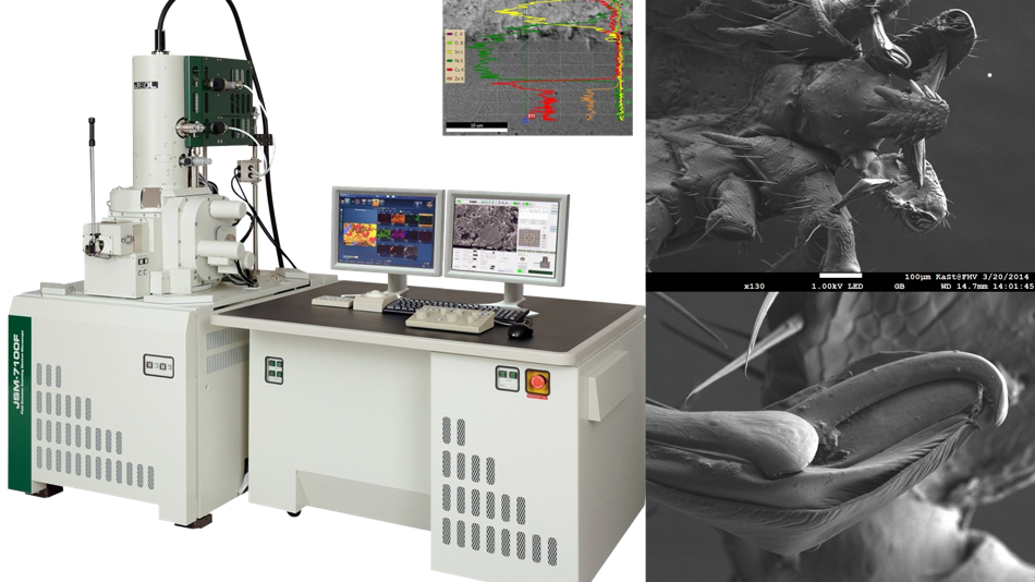 Materialcharakterisierung am Forschungszentrum Mikrotechnik