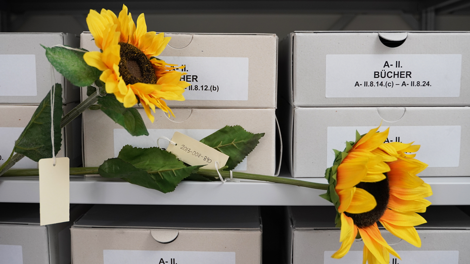 Sonnenblumen im Archiv