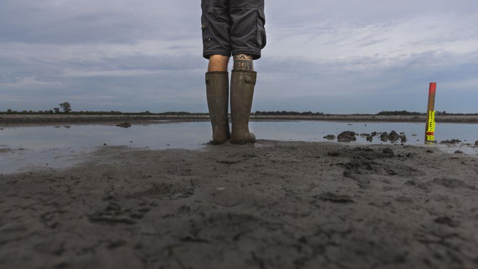 Sodalackenmonitoring