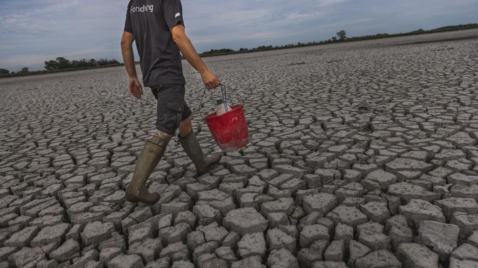 Sodalackenmonitoring