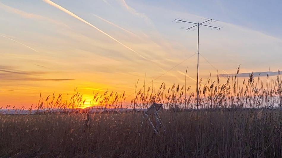 Fledermaustelemetrie