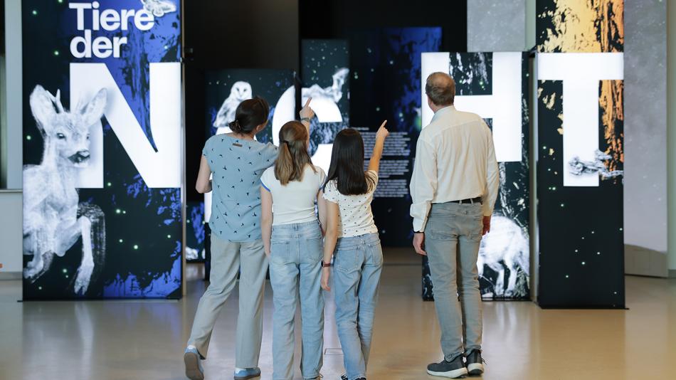 Eingansbereich der Ausstellung „Tiere der Nacht“