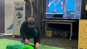MEDtrainXR - immersivesund realitätsnahes Mixed Reality Training für Notfallsanitäter:innen