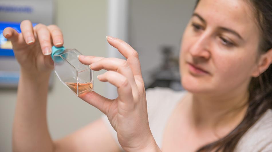 Einblicke in den wissenschaftlichen Alltag