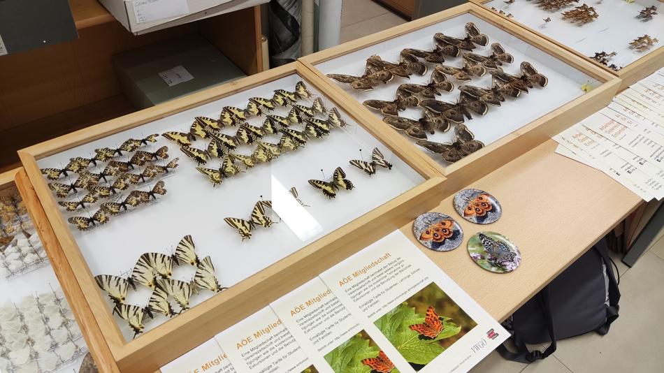 Naturwissenschaftliche Sammlung