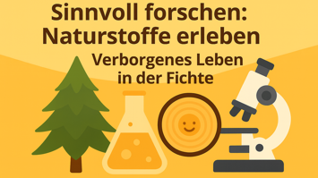 Darstellung zum Erforschen von Naturstoffen in der Fichte