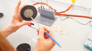 Analyse im akkreditierten Labor der Biologischen Station Neusiedler See