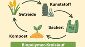 Darstellung eines Biopolymer-Kreislaufs