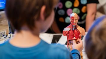 Kind mit Anatomiepuppe