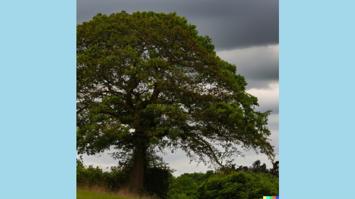 Ein starker Baum trotzt stürmischem Wetter
