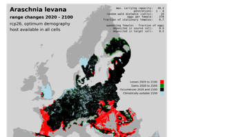 Zukünftige Verbreitung des Landkärtchens (Araschnia levana) unter dem schwächsten Klimawandelszenario