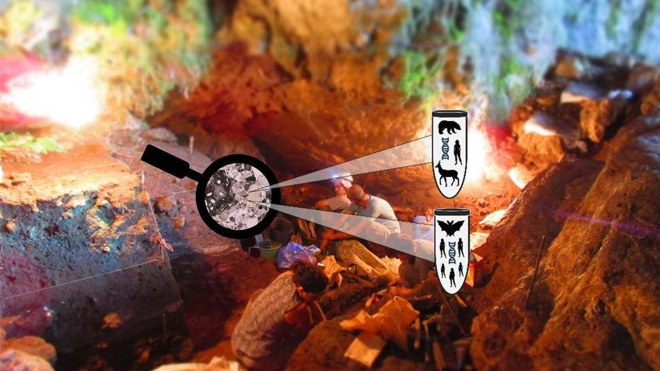 Im Vordergrund ist ein Icon einer Lupe, welches Tiere, DNA und Menschen zeigt. Im Hintergrund ist ein Bild einer Ausgrabung in einer Höhle sichtbar.