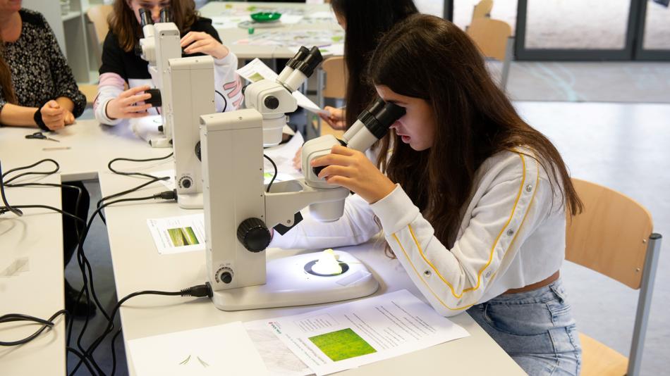 Mädchen sitzt an einem Tisch mit mehreren Personen und blickt durch ein Mikroskop