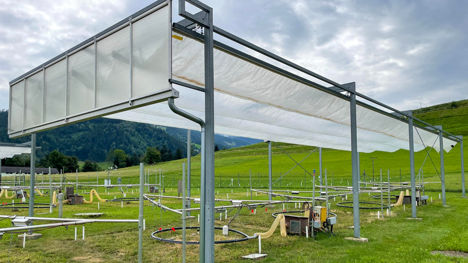 Feldexperiment mit Bodenproben