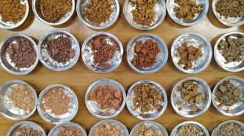 Bodenproben aus dem Kongo