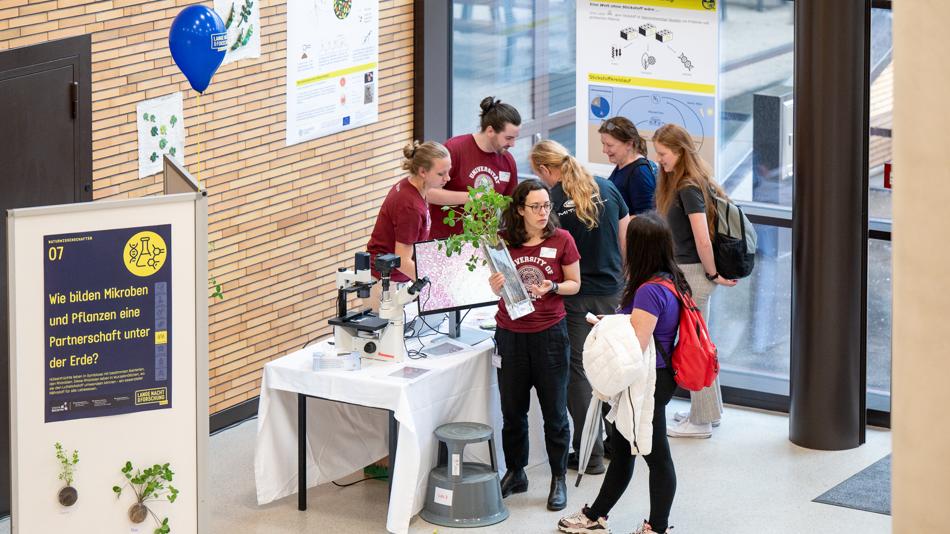 Station: Partnerschaft von Mikroben und Pflanzen
