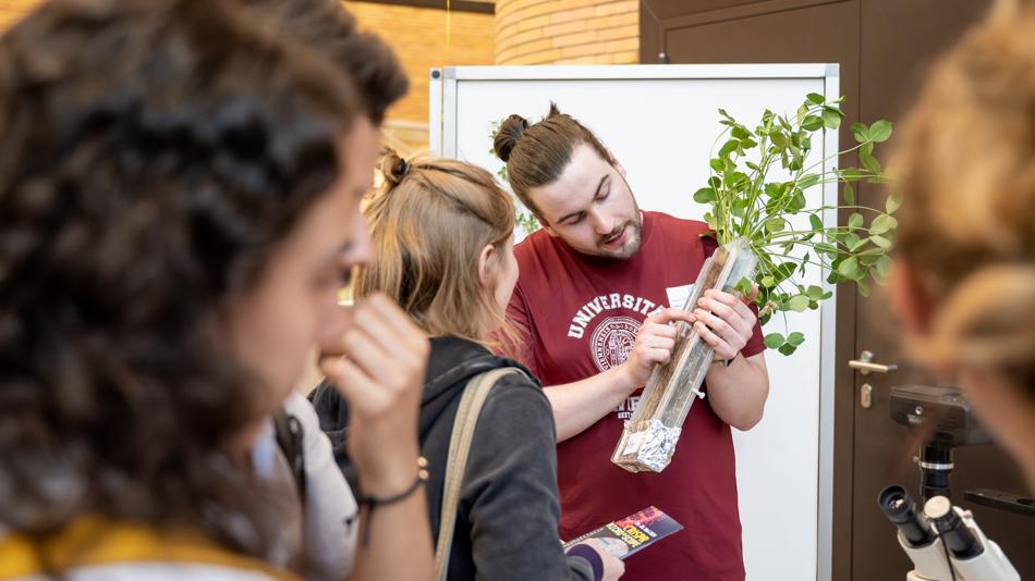 Station: Partnerschaft von Mikroben und Pflanzen