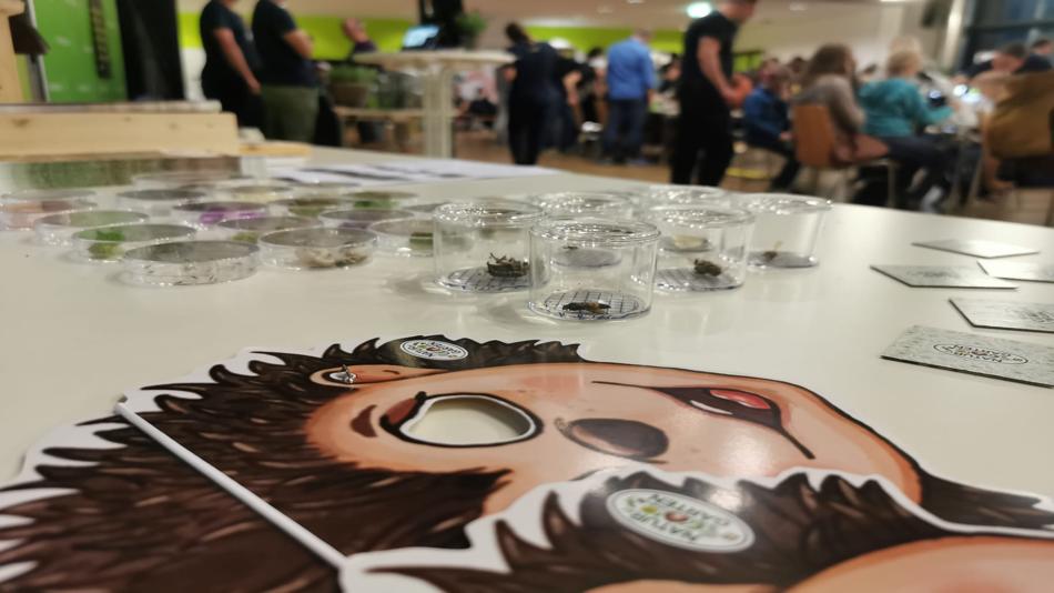 Impressionen von der LNF24